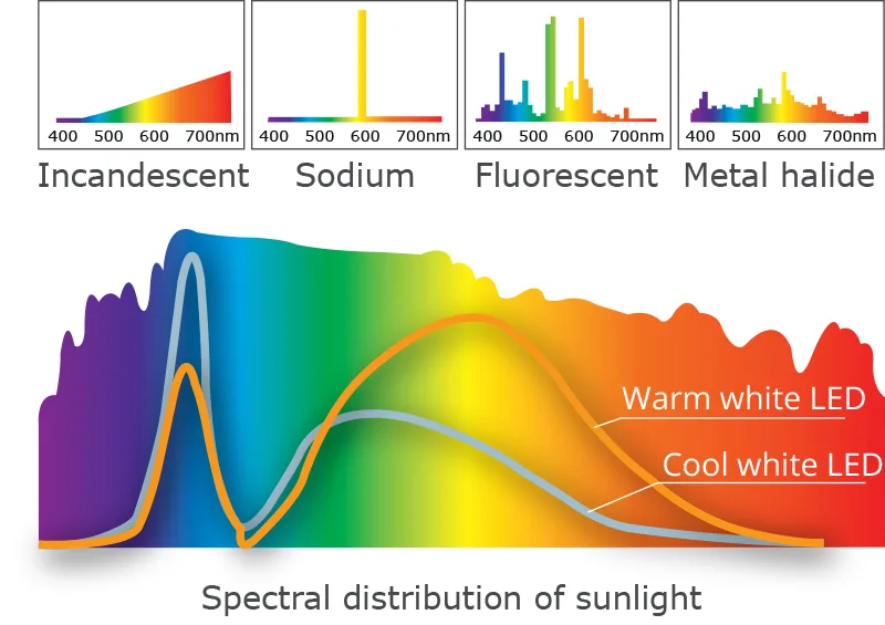 Ánh sáng và sinh học con người 6 hcl spectral distribution