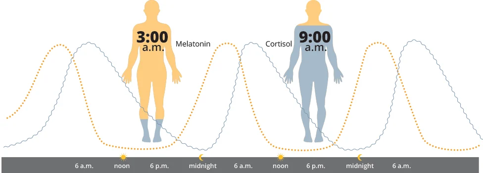 hcl melatonin cortisol